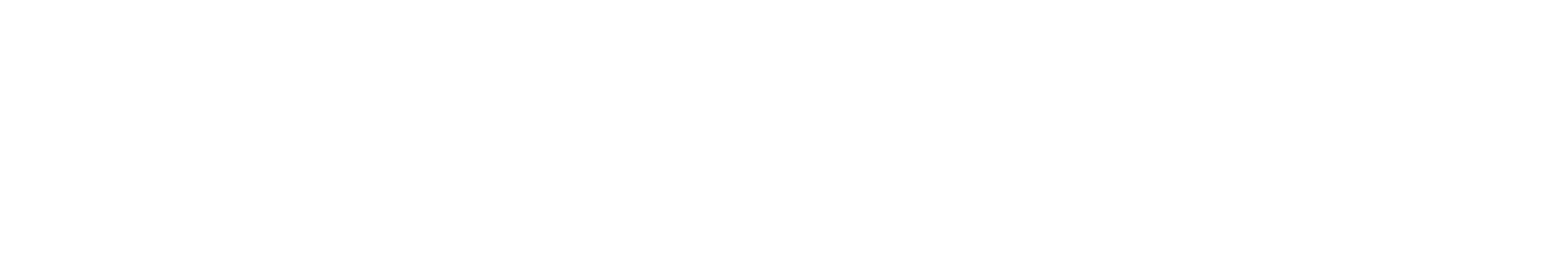 White Wordmark